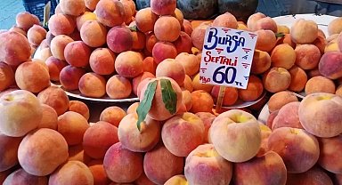 Bursa'da şeftaliler tezgaha indi
