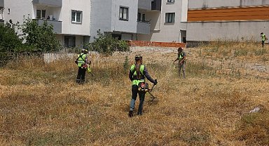 Çayırova'da yabani otlar temizleniyor