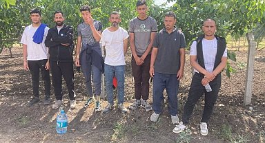 Edirne'de 7 göçmen yakalandı