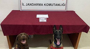 Edirne'de sürücüye kokainden adli işlem