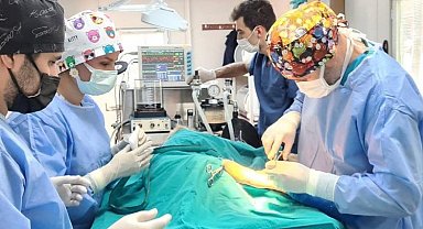 En fazla sokak hayvanını Osmangazi Belediyesi kısırlaştırdı