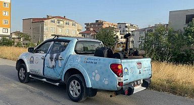 Gebze'de ilaçlama çalışmalarına devam