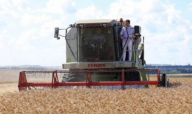 İstanbul'da deneme tohumlarında ilk hasat