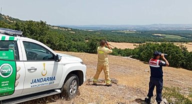 Jandarma orman yangınlarıyla mücadelede ediyor