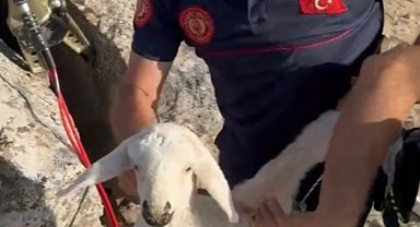 Kayseri İtfaiyesi mahsur kalan kuzuyu kurtardı
