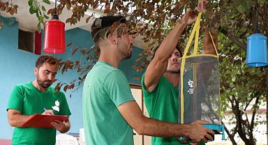 Kocaeli'de karasinek kapanları yaygınlaşıyor
