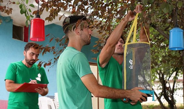 Kocaeli'de karasinek kapanları yaygınlaşıyor