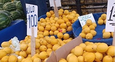 Limon üreticisinin sesine duyarsızlık fahiş fiyatlara neden oldu