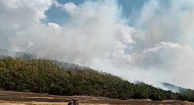 Orman İşletme Müdürü Ertunç Can Polat yangınlara karşı uyardı