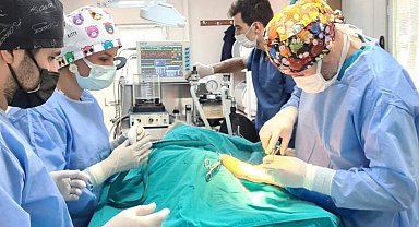Osmangazi'de 6 ayda 2170 kedi ve köpek kısırlaştırıldı