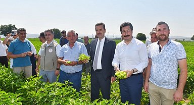 Yenişehir Biberi'nin marka değeri artacak