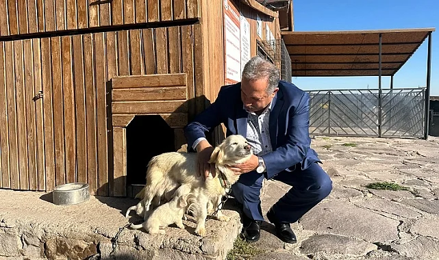 Ali Dağı 360 Kafe'ye 2 yeni misafir