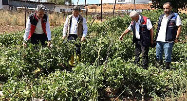 Bilecik Pazaryeri'nde yağıştan zarar gören arazilere yakın mercek