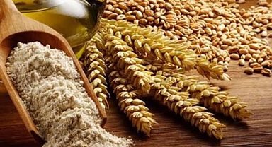 Bursa Büyükşehir'den 'Siyez Buğdayı' alım desteği