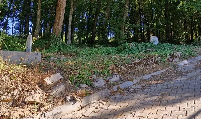 Bursa'da Fevziye Mahallesi Mezarlığı'nın bakımsızlığı tepki çekiyor