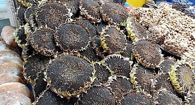 Bursa'nın çerezlik ayçiçeği hasadı başladı