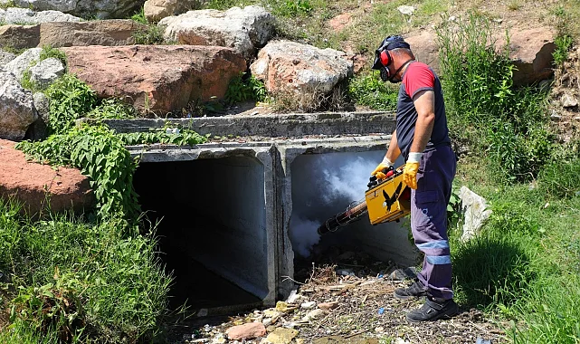 Büyükşehir vektörlere karşı savaşını sürdürüyor