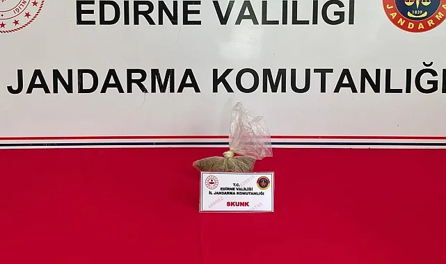 Edirne Keşan'da Skunk ele geçirildi