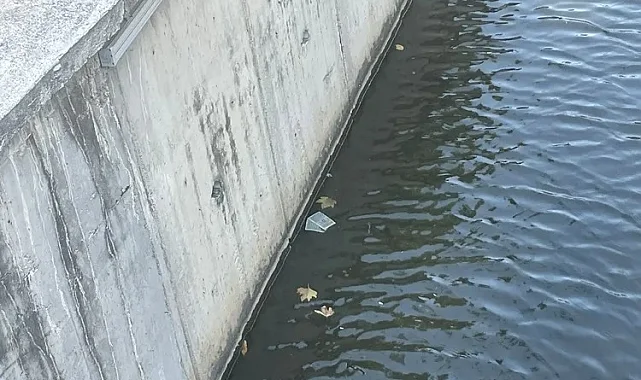 Gemlik'te su kaynakları bakımsızlıktan hastalık saçıyor