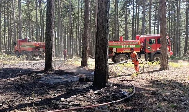 Keles'te ormanlık alanda çıkan yangın korkuttu
