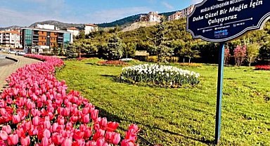 Muğla'ya 59 futbol sahası büyüklüğünde yeşil alan