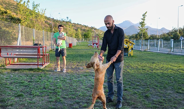 Talas'ta hayvanlara özel patiyol