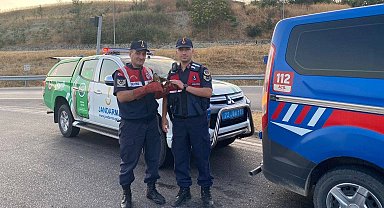 Yaralı şahin HAYDİ Mobil Uygulaması sayesinde kurtarıldı