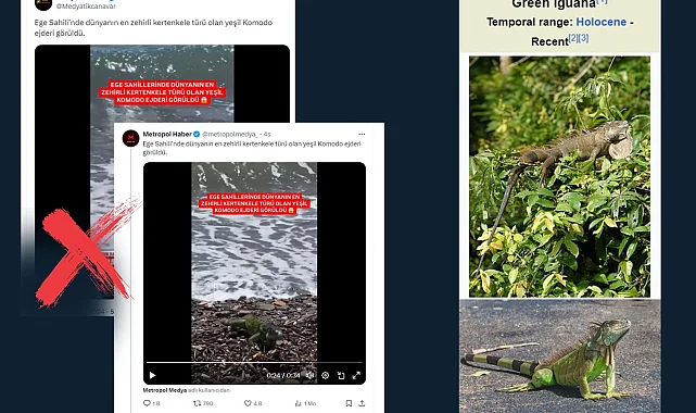 'Yeşil Komodo Ejderi' iddiası dezenformasyon!