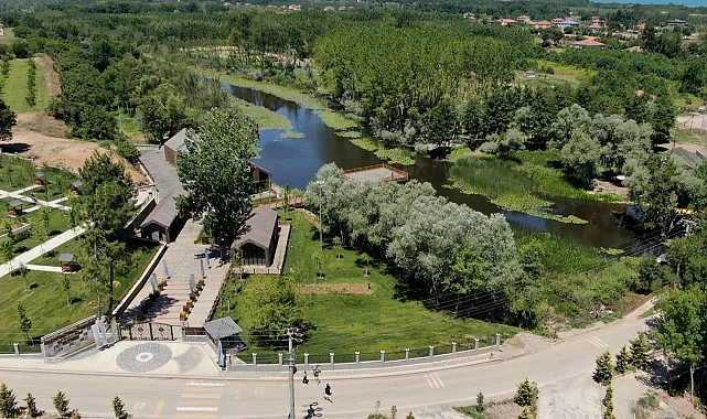 Acarlar Longozu yaz sezonunda turizmin gözdesi oldu