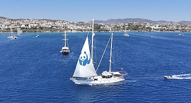 Blue Panda Türkiye'ye veda etti