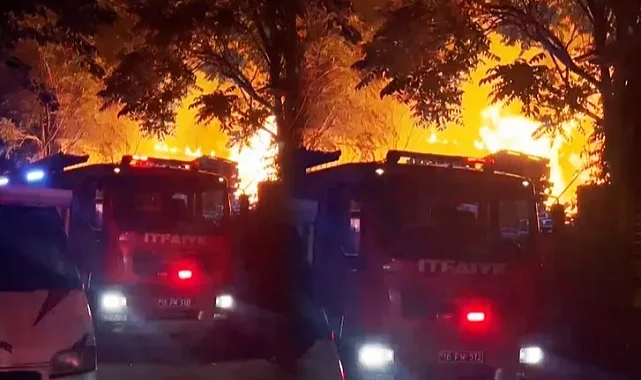 Bursa'da palet fabrikası alev alev yandı