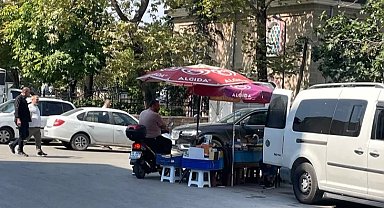 Bursa'da seyyar kültürü devam ediyor