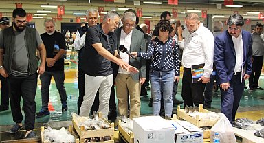 Denizde palamut bolluğu esnafın yüzünü güldürdü