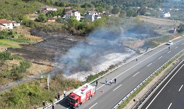 Düzce'de anız yangını! Fındık arazisi zarar gördü!