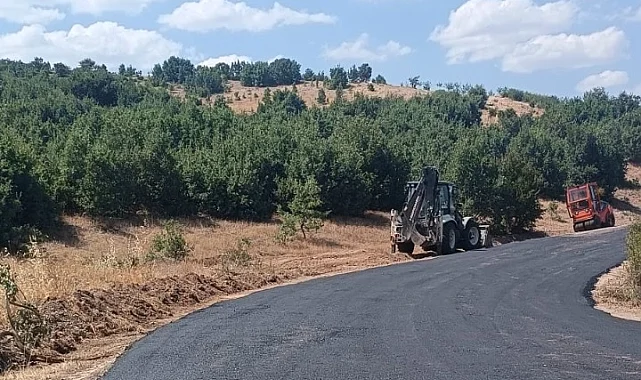 Hekimhan'da yol çalışmaları devam ediyor