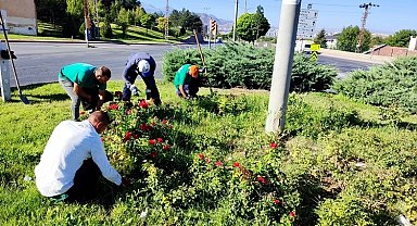 Kayseri Büyükşehir'den yabani otlarla sıkı mücadele