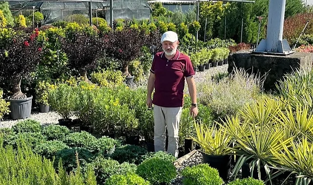 Kayseri Kocasinan daha yeşil olacak