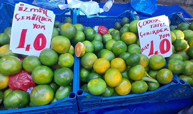 Mandalinalar Bursa pazarlarında yerini aldı
