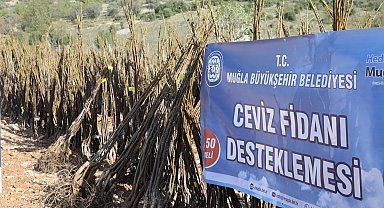 Muğla'da her kapıda bir fidan!