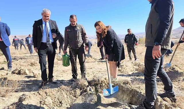 101. Yıla özel 101 fidan toprakla buluştu