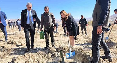 101. Yıla özel 101 fidan toprakla buluştu