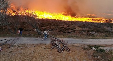 400 dönümlük mısır tarlası ve merada korkutan yangın