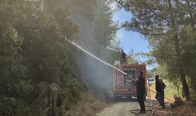 Antakya'da orman yangını kısa sürede söndürüldü