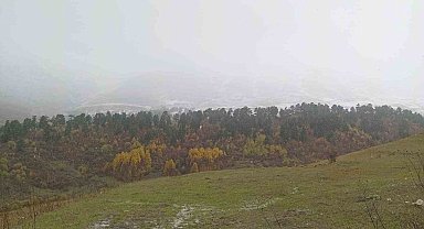Artvin'in yüksek kesimlerine mevsimin ilk karı düştü