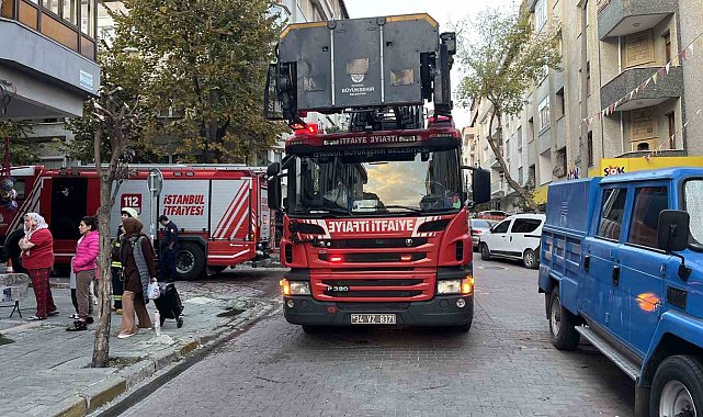 Avcılar'da yangın çıkan dairede mahsur kalan tavşanı itfaiye kurtardı