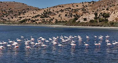 Başkan Çerçioğlu'nun başlattığı Ekoturizm hareketi, Aydın'ın kapılarını dünyaya açıyor