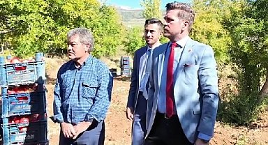 Başkan Tatık, Tavas'ta nar hasadı yapan üreticileri yalnız bırakmadıı