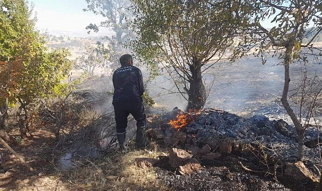 Başkan Yıldırım'dan orman yangınlarına karşı vatandaşları uyardı