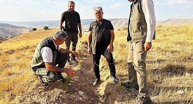 Batman'da bin dekarlık alanda inceleme
