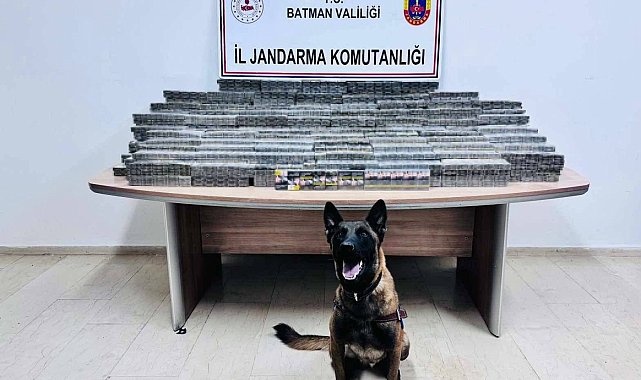 Batman'da durdurulan araçta gümrük kaçağı sigara ele geçiridi